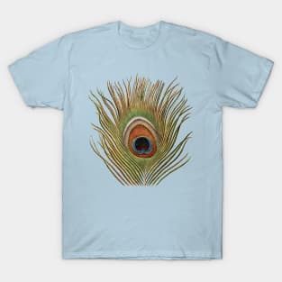 Gorgeous peacock feather with beautiful jewel tone colors T-Shirt